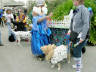 Hurricane Katrina Picture